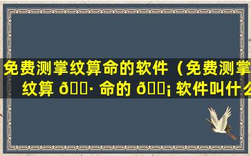 免费测掌纹算命的软件（免费测掌纹算 🌷 命的 🐡 软件叫什么）